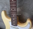 画像10: Fender USA Yngwie Malmsteen Signature Stratocaster / Rosewood   (3) (10)