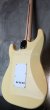 画像6: Fender USA Yngwie Malmsteen Signature Stratocaster / Rosewood   (3) (6)