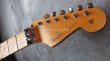 画像3: Fender Custom Shop Alley Cat Stratocaster Heavy Relic / Faded Army Drab Green (3)