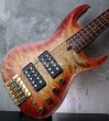 画像13: Pensa  Custom Curve Top 5-Strings BASS / Built by Mas Hino   (13)