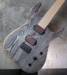 画像14: Skervesen Velociraptor 6-Strings / Swamp Ash Graphite (14)