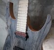 画像11: Skervesen Velociraptor 6-Strings / Swamp Ash Graphite (11)