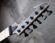 画像3: Skervesen Velociraptor 6-Strings / Swamp Ash Graphite (3)