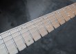 画像4: Skervesen Velociraptor 6-Strings / Swamp Ash Graphite (4)