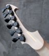 画像7: Skervesen Velociraptor 6-Strings / Swamp Ash Graphite (7)