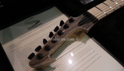 画像1: Skervesen Velociraptor 6-Strings / Swamp Ash Graphite