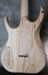 画像2: Skervesen Velociraptor 6-Strings / Swamp Ash Graphite (2)