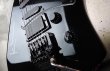 画像10: Steinberger GK-4T Klein / Black (10)