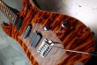 画像11: Suhr Carve Top Standard /  Killer　Quilt / Jacarandá (11)