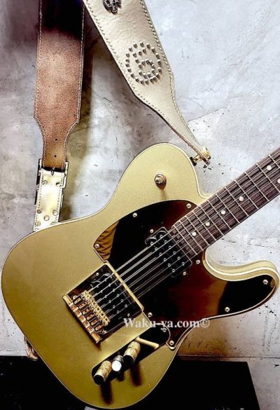 画像1: Fender Telecaster "Goldy"  / John5  mod 