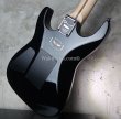 画像12: Charvel USA Warren DeMartini Frenchie Graphic / Gloss Black  (12)