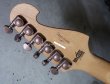 画像7: Washburn N4 Nuno Bettencourt White Prototype / Bronze Hardware (7)