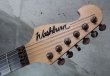 画像3: Washburn N4 Nuno Bettencourt White Prototype / Bronze Hardware (3)