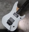 画像13: Washburn N4 Nuno Bettencourt White Prototype / Black Hardware (13)