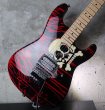 画像13: Charvel USA Custom Shop Warren DeMartini Blood and Skull  (13)