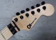 画像3: Charvel USA Custom Shop Warren De Martini / Bomber (3)