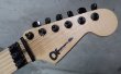 画像3: Charvel USA Custom Shop Warren DeMartini Blood and Skull  (3)