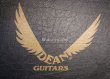 画像14: Dean USA Tracii Guns V Floyd / Satin Black (14)