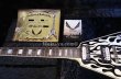 画像14: Dean USA Michael Schenker Flames V 100 Limited (14)