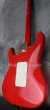 画像6: Valley Arts Custom Pro USA One Piece Maple / Trans Red (6)