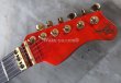 画像3: Valley Arts Custom Pro USA One Piece Maple / Trans Red (3)