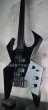 画像5: B.C. Rich Custom Shop Widow Bass Fretless Black  (5)