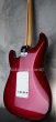 画像6: Fender Custom Shop Robin Trower Strat NOS Midnight Wine Burst (6)