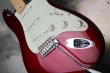 画像11: Fender Custom Shop Robin Trower Strat NOS Midnight Wine Burst (11)