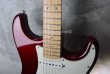 画像10: Fender Custom Shop Robin Trower Strat NOS Midnight Wine Burst (10)