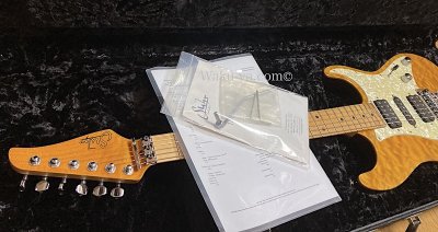 画像1: Suhr Standard Trans Honey Amber H-S-H　