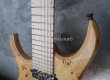 画像10: Skervesen Raptor 7 Lefty Natural / Rzeczpospolita Polska (10)