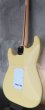 画像6: Fender USA Yngwie Malmsteen Signature Stratocaster / Rosewood   　  (2) (6)