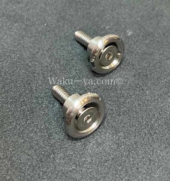 画像1: Steinberger GL / GM / GR 用　Strap End Pin Set (1)