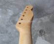 画像15: Warmoth Telecaster®  Maple Neck  22 Frets  /  Left Handed (15)