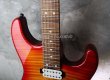 画像9: Charvel Custom Shop /San Dimas H-S-H  Rivers Head / Cherry Sunburst (9)