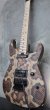 画像5: ♫即納可能☆ Charvel USA Custom Shop Warren De Martini/  Signature / SnakeSkin Graphic (5)