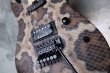 画像11: ♫即納可能☆ Charvel USA Custom Shop Warren De Martini/  Signature / SnakeSkin Graphic (11)