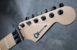 画像4: Charvel USA Warren DeMartini Blood and Skull + D-Tuner (4)