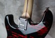 画像9: Charvel USA Warren DeMartini Blood and Skull + D-Tuner (9)