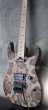 画像6: Charvel USA Custom Shop Warren De Martini/  Signature / SnakeSkin Graphic　(2) (6)