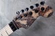 画像3: Charvel USA Custom Shop Warren De Martini/  Signature / SnakeSkin Graphic　(2) (3)