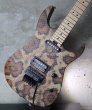 画像9: Charvel USA Custom Shop Warren De Martini/  Signature / SnakeSkin Graphic　(2) (9)