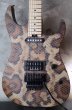 画像1: Charvel USA Custom Shop Warren De Martini/  Signature / SnakeSkin Graphic　(2) (1)