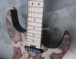 画像11: Charvel USA Custom Shop Warren De Martini/  Signature / SnakeSkin Graphic　(2) (11)