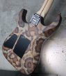 画像12: Charvel USA Custom Shop Warren De Martini/  Signature / SnakeSkin Graphic　(2) (12)