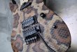 画像10: Charvel USA Custom Shop Warren De Martini/  Signature / SnakeSkin Graphic　(2) (10)