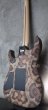 画像5: Charvel USA Custom Shop Warren De Martini/  Signature / SnakeSkin Graphic　(2) (5)